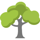 Denver Tree Trimming Service